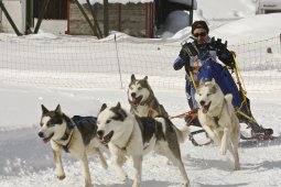 Kandersteg 2009 EM