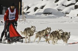 Kandersteg 2009 EM