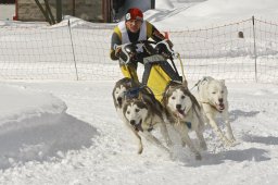 Kandersteg 2009 EM