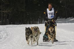 Kandersteg 2009 EM