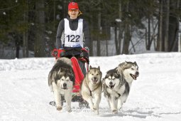Kandersteg 2009 EM
