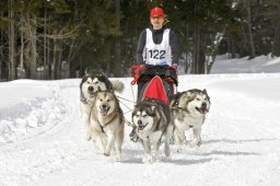 Kandersteg 2009 EM