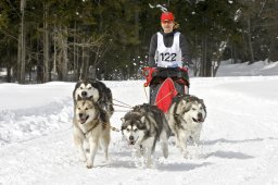 Kandersteg 2009 EM