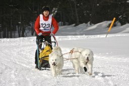 Kandersteg 2009 EM