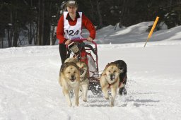 Kandersteg 2009 EM