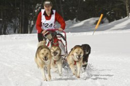 Kandersteg 2009 EM