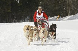 Kandersteg 2009 EM