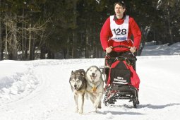 Kandersteg 2009 EM