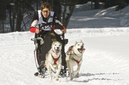 Kandersteg 2009 EM