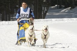Kandersteg 2009 EM