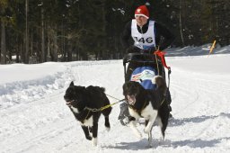 Kandersteg 2009 EM