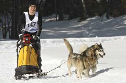 Kandersteg 2009 EM