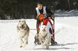 Kandersteg 2009 EM