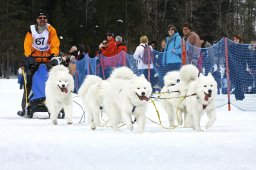 Kandersteg 2009 EM