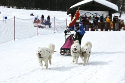Kandersteg 2009 EM
