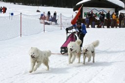 Kandersteg 2009 EM