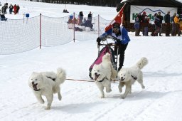 Kandersteg 2009 EM