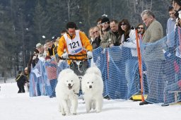 Kandersteg 2009 EM