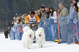 Kandersteg 2009 EM