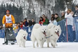 Kandersteg 2009 EM
