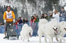 Kandersteg 2009 EM