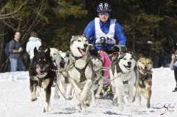 kanderstegemsa2009-02-280610_20111118_1561390331