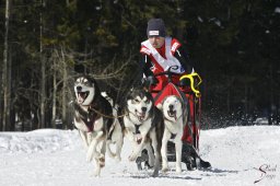 kanderstegemsa2009-02-280622_20111118_1954176903
