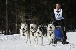 kanderstegemsa2009-02-280649_20111118_1098970104