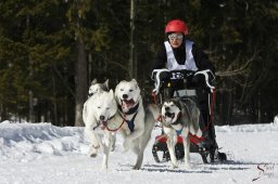 kanderstegemsa2009-02-280655_20111118_2021695839