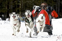 kanderstegemsa2009-02-280676_20111118_2033080360