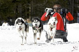 kanderstegemsa2009-02-280677_20111118_1643008584