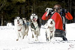 kanderstegemsa2009-02-280678_20111118_1056877486
