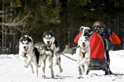 kanderstegemsa2009-02-280680_20111118_1557352044