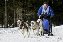 kanderstegemsa2009-02-280693_20111118_1132071445