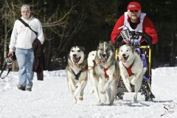 kanderstegemsa2009-02-280699_20111118_1414642879