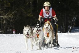 kanderstegemsa2009-02-280713_20111118_1889746822