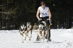 kanderstegemsa2009-02-280725_20111118_1995212027