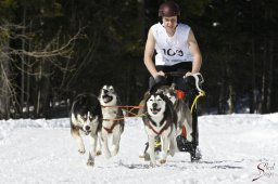 kanderstegemsa2009-02-280726_20111118_1683209786