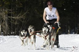 kanderstegemsa2009-02-280727_20111118_1437480580