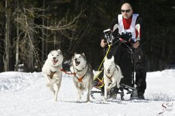 kanderstegemsa2009-02-280756_20111118_1110007298