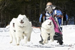 kanderstegemsa2009-02-280763_20111118_1593530204