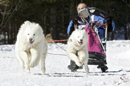 kanderstegemsa2009-02-280764_20111118_1212632054