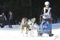 kanderstegemsa2009-02-281025_20111118_1212338913
