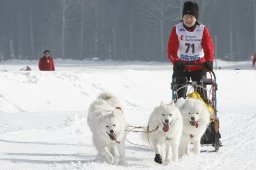 Studen 2009