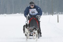 Studen 2009