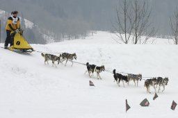 Studen 2009