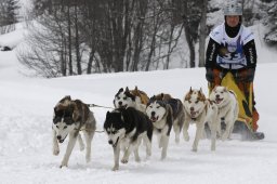 Gadmen 2010