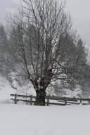 Gadmen 2010