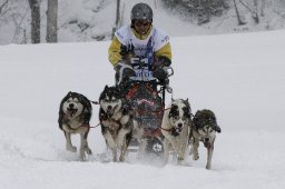Gadmen 2010