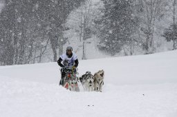 Gadmen 2010